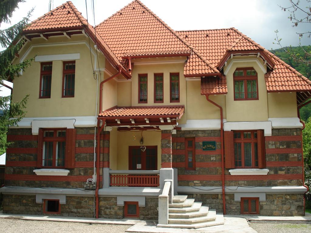 Pensiunea Micsunica Sinaia Exterior photo